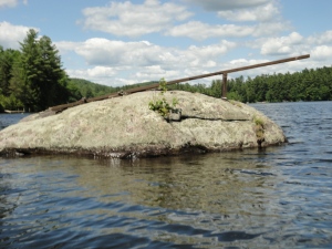 Homemade NH diving board on a rock...this cracked me up