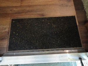 Second mat after Lee cut the outsides away