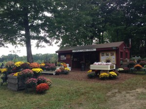 Maple Lane Farm Stand