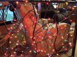 Some tiny lights for our railing. 