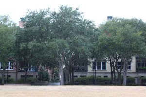 Apartments facing Waterfront Park