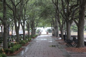 Tree lined cobblestone walkways..so beautiful