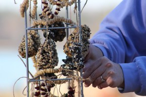 Garland, Pine Cones, 