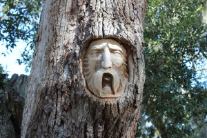 Carvings in trees are throughout St. Simons island but hard to find