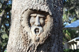 Sailor's spirit carving in tree