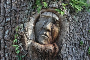 Sailor's spirit ...this one was a bit creepy