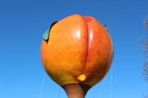 Giant peach butt with worker