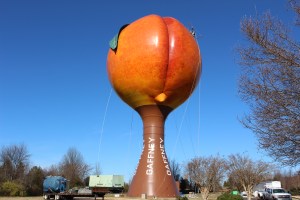 Giant peach butt