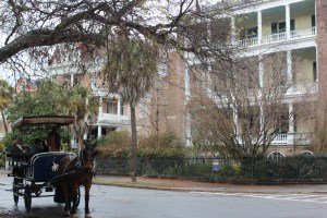 Carriage Tour on the main street