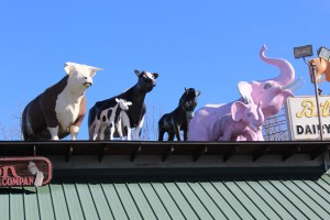 I think the pink elephants were my favorites