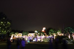 The Winter Wonderland 