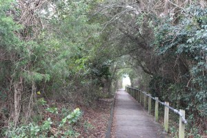 Walkway to Sullivan's Island beach