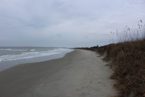 Great beach at Sullivan's Island