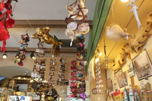 The store was really cool with tons of shells, coral, and sponges