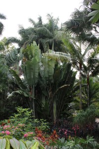 The growth was huge and dense which makes the relatively small place feel bigger