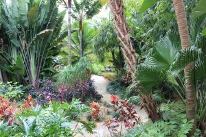 Beautiful paths are cut at multiple levels so you could be very close to someone and not see them. 