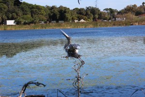 Carane made of metal in the lake