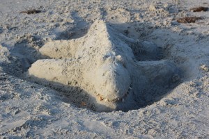 Sand Alligator