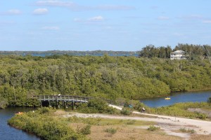 Views from the watch tower