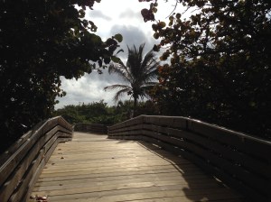 Tiny free park on nice beachfront property