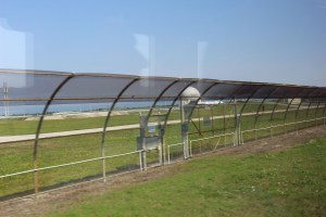 These fences curve inward because apparently alligators can climb a 6 foot fence...yikes!!