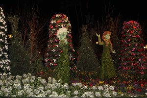 The frozen topiary was really pretty