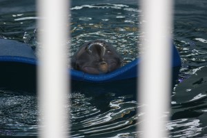 Winter..you have to pay extra for a good picture