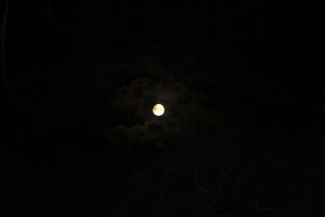 The moon starting it's lunar eclipse