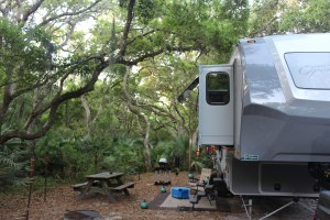 The woods go back very deep and although we can hear others cannot see anyone