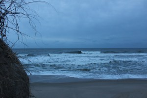 Morning on the beach