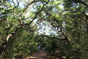 The walk to the quarry