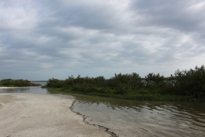 Easy to get into the water from the shore