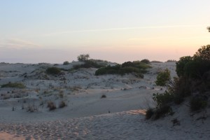 The dunes walking up to the ridge