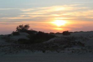 Sometimes I am amazed this is my life