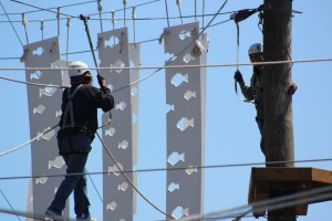 Lee strolling across the tight wire