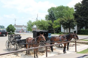 Although most buggies look the same here are three that are different