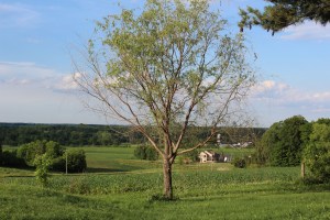 I love love this view