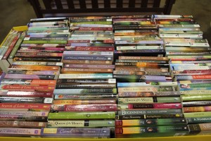 Amish romance novels...oh yes they have them