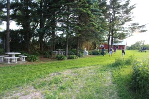 All the grounds around the house are available for use