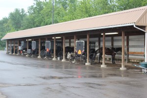 The horse stall at Walmart