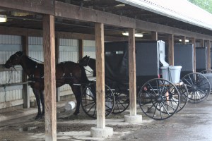 They put coolers on the back of the buggies for cold stuff