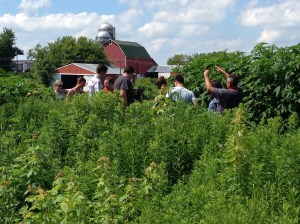 Lee directing the wedding party
