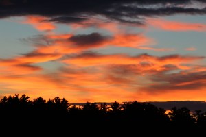 The colors were awesome