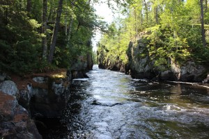 Shot from down below