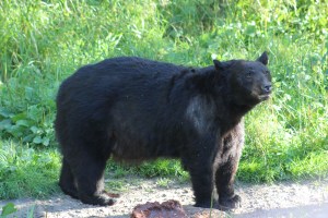 Just in case you think they were all cute and cuddly