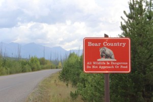 Saw several of these signs along the way