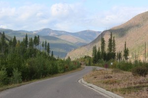 The road less traveled