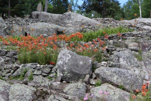 Loved the flower ledges