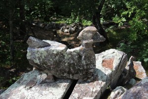 This duck was one of my favorites