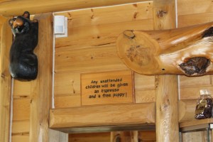 I've seen these signs everywhere and check out the bear climbing the wall to the left